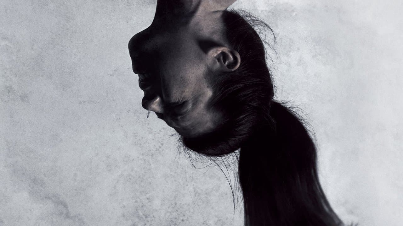 Backdrop – Hostel 2