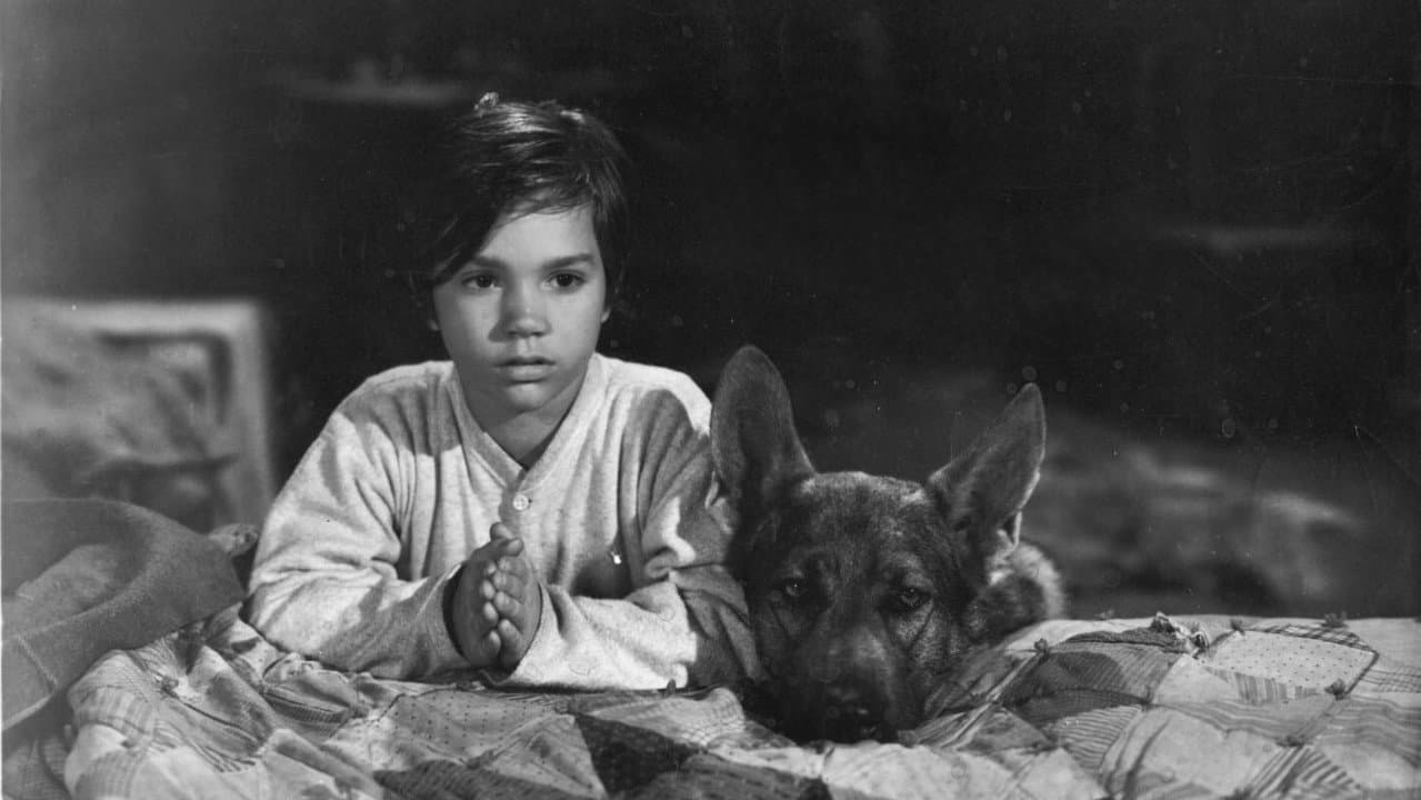 Backdrop – Sign of the Wolf