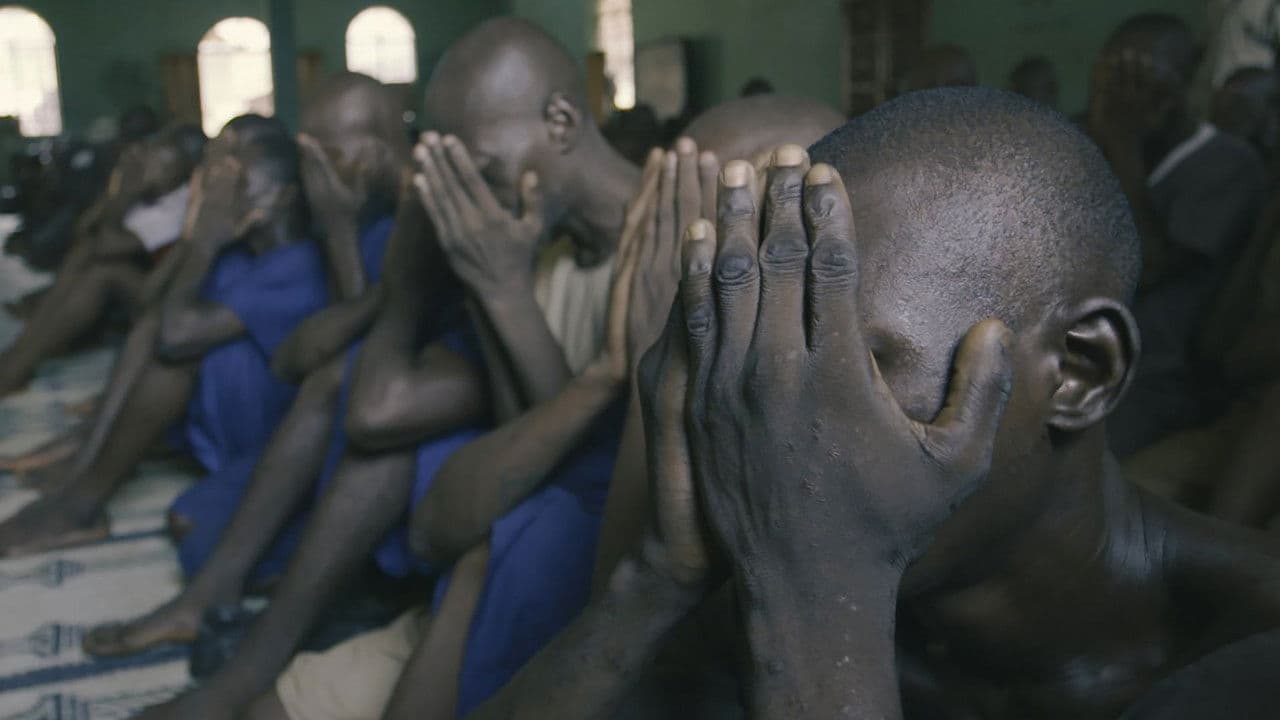 Backdrop – El Infierno