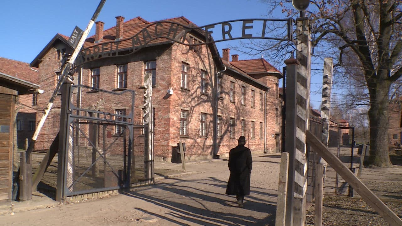 Backdrop – Requiem voor Auschwitz - de film