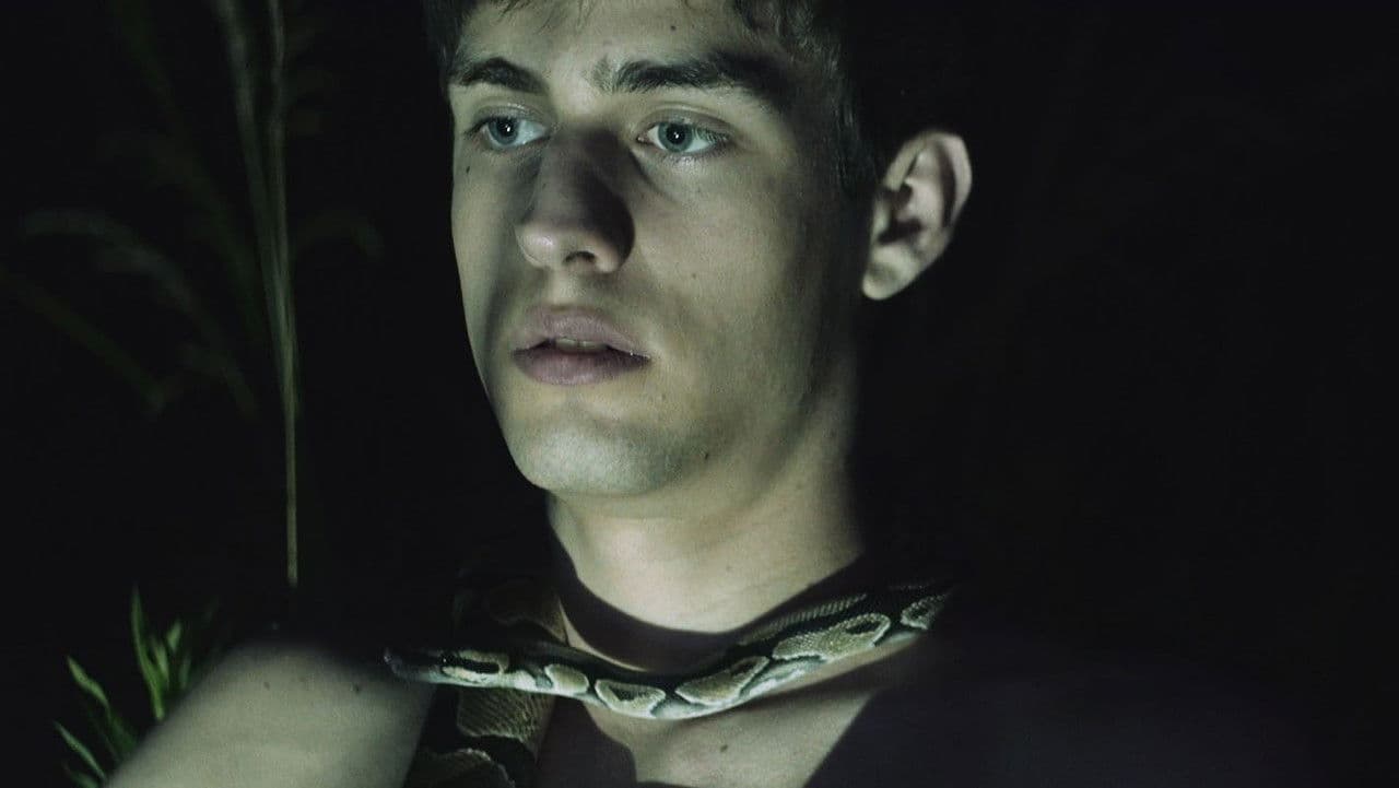 Backdrop – Viceroy