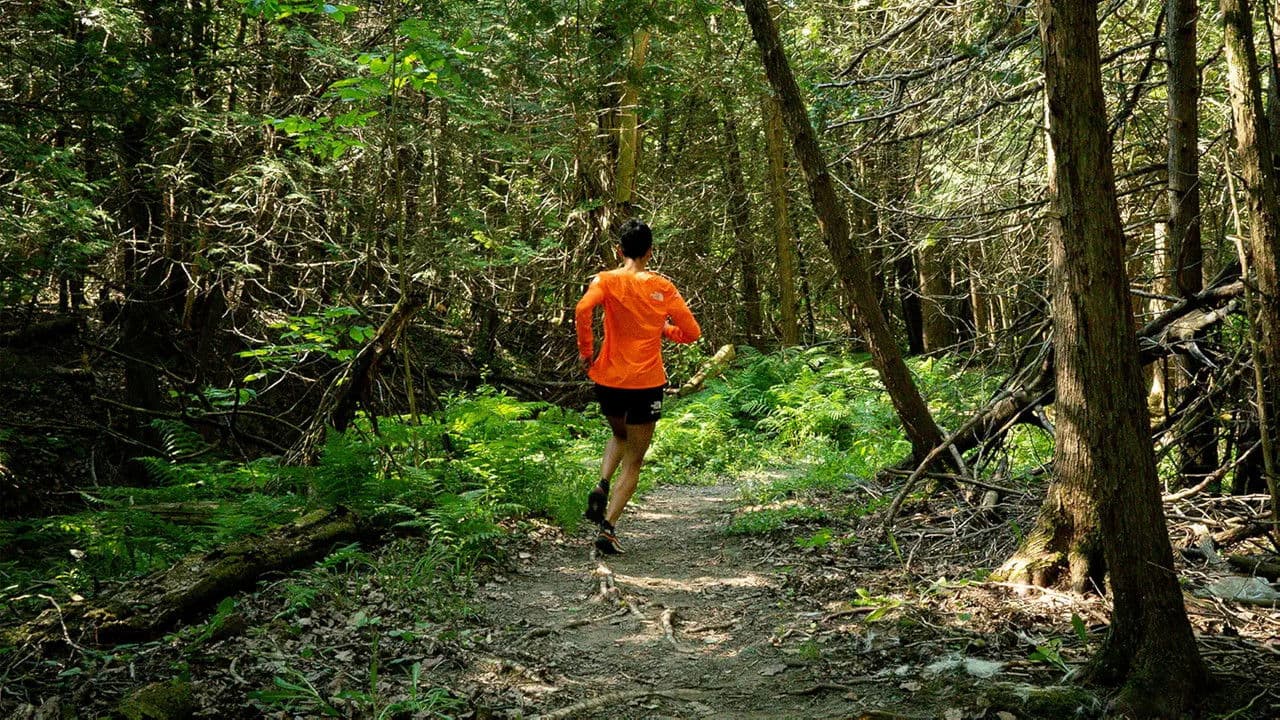 Backdrop – Caribou