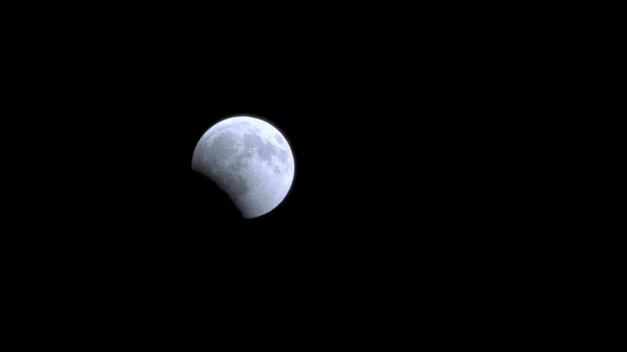 Backdrop – Blood Moon's Dance