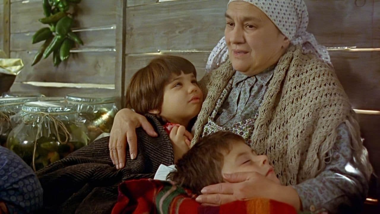 Backdrop – Zug des Lebens