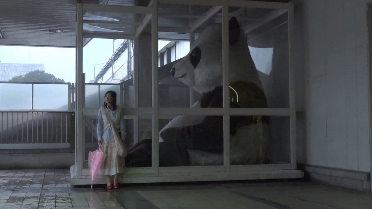 Backdrop – 東京無印女子物語