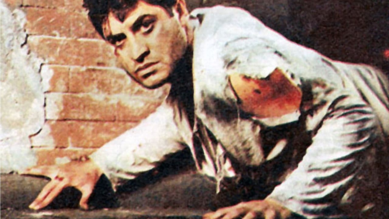 Backdrop – Мосты через забвение