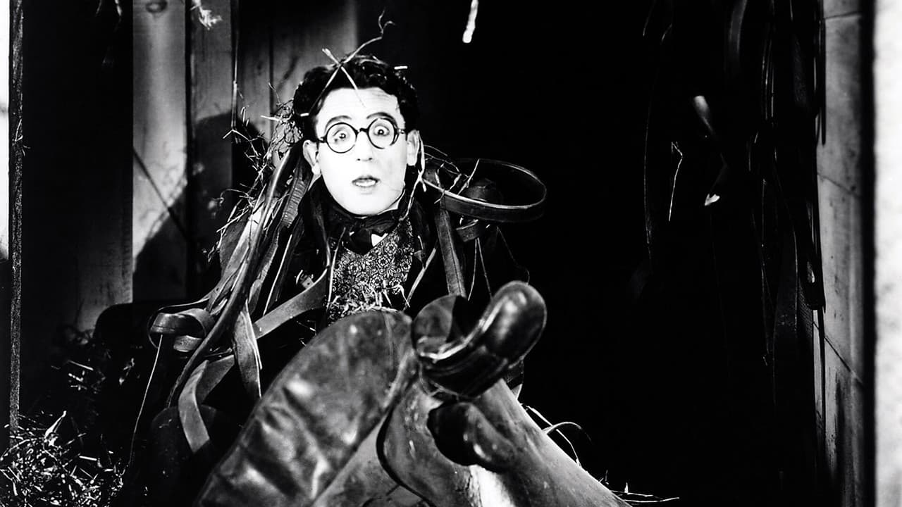 Backdrop – Großmutters Liebling