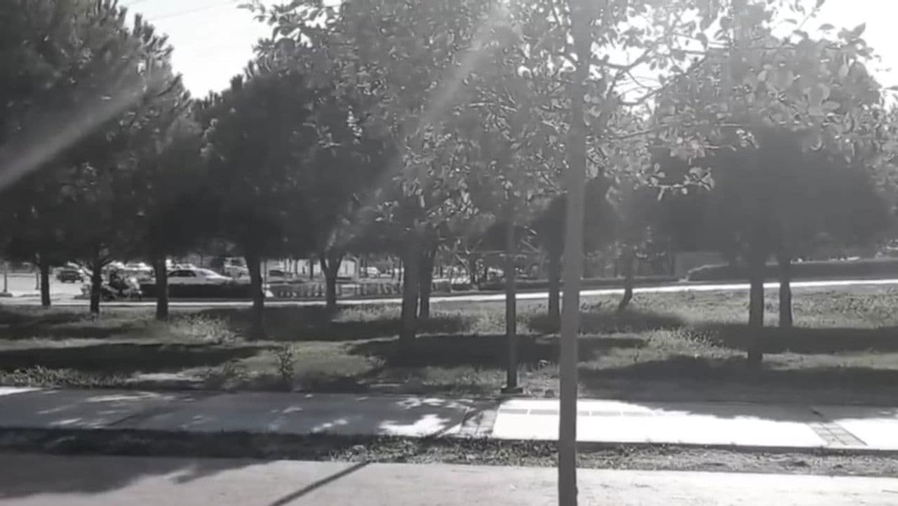 Backdrop – Mercan: Skate King