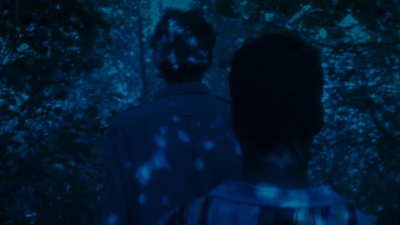 Backdrop – Gare aux coquins