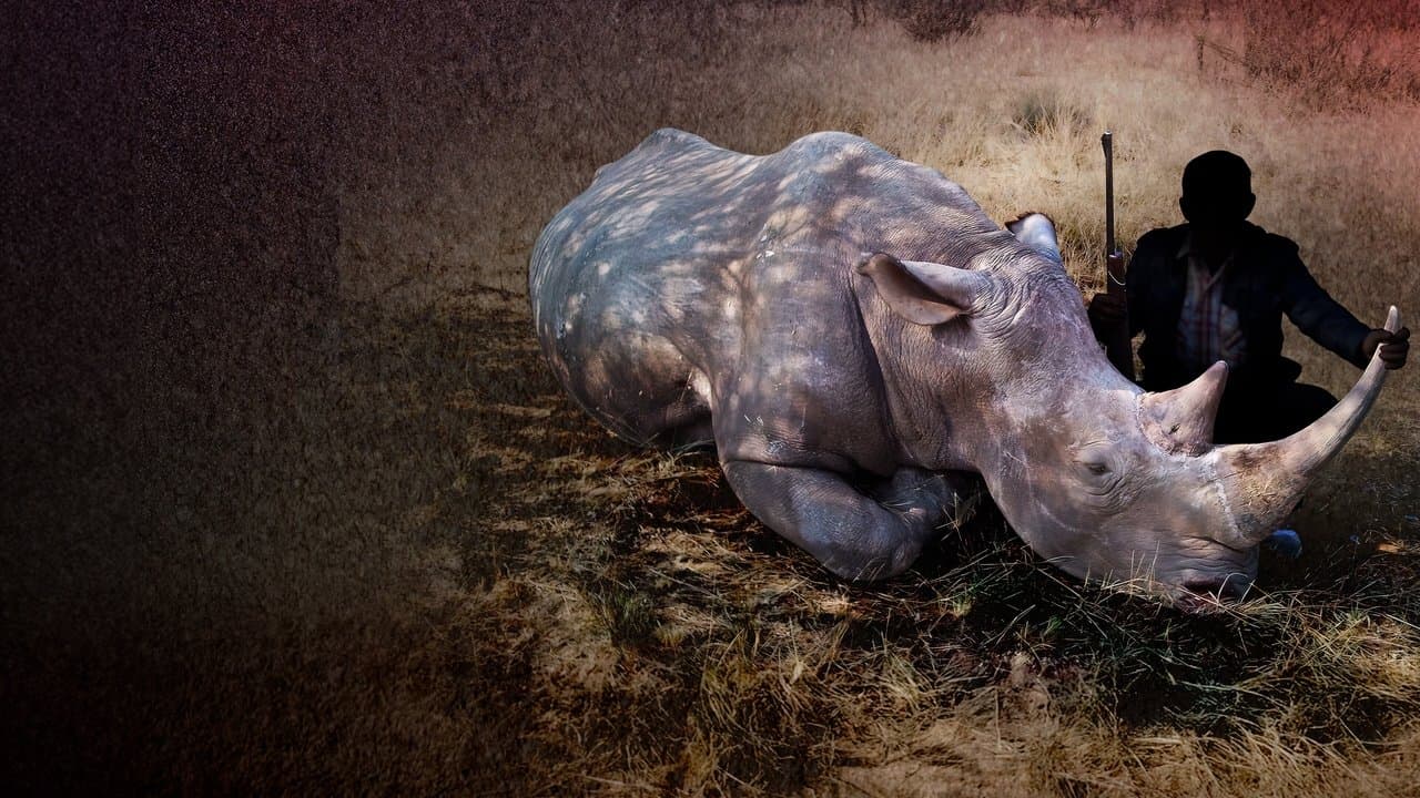 Backdrop – Krwawe trofeum