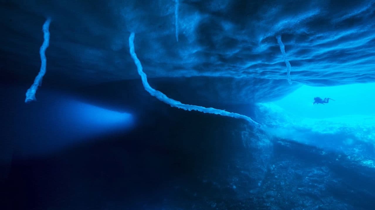 Backdrop – Antarktis - Die Reise der Pinguine