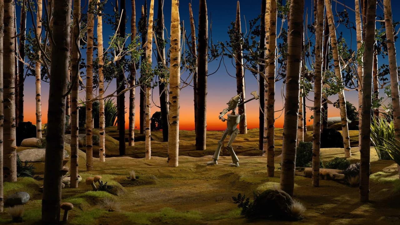 Backdrop – The Tin Woods