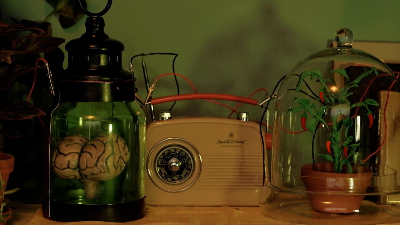 Backdrop – Little One