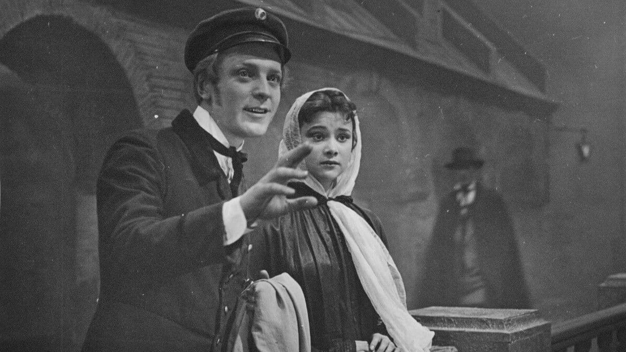 Backdrop – Белые ночи