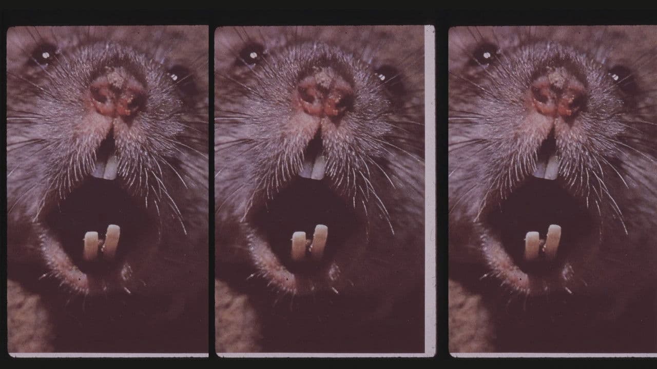 Backdrop – Living Without Menace