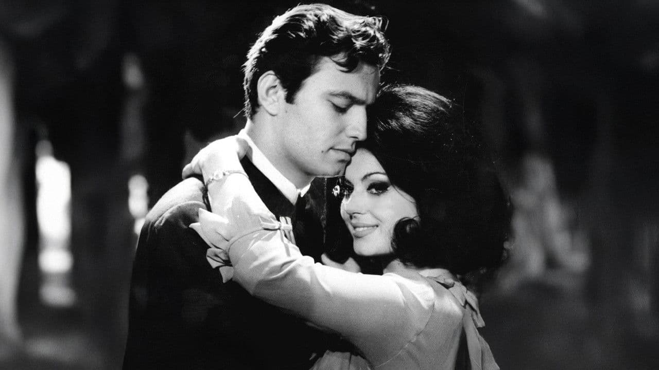 Backdrop – Elveda Sevgilim