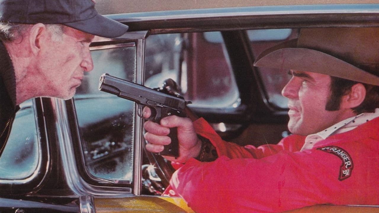 Backdrop – W.W. and the Dixie Dancekings