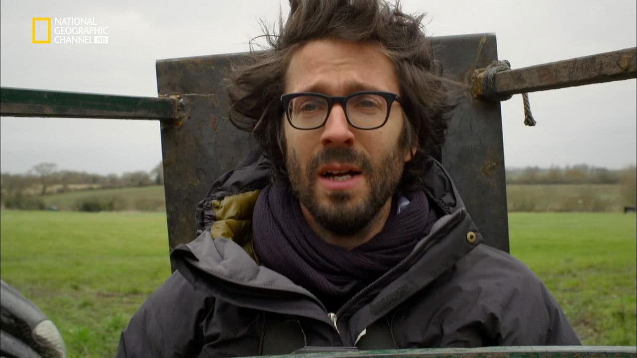 Backdrop – True Tube