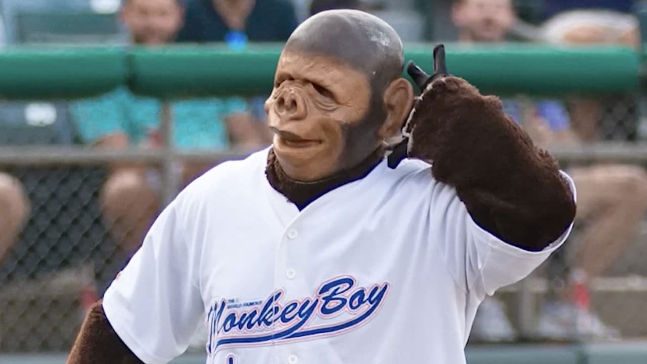 Backdrop – Come Home Monkey Boy