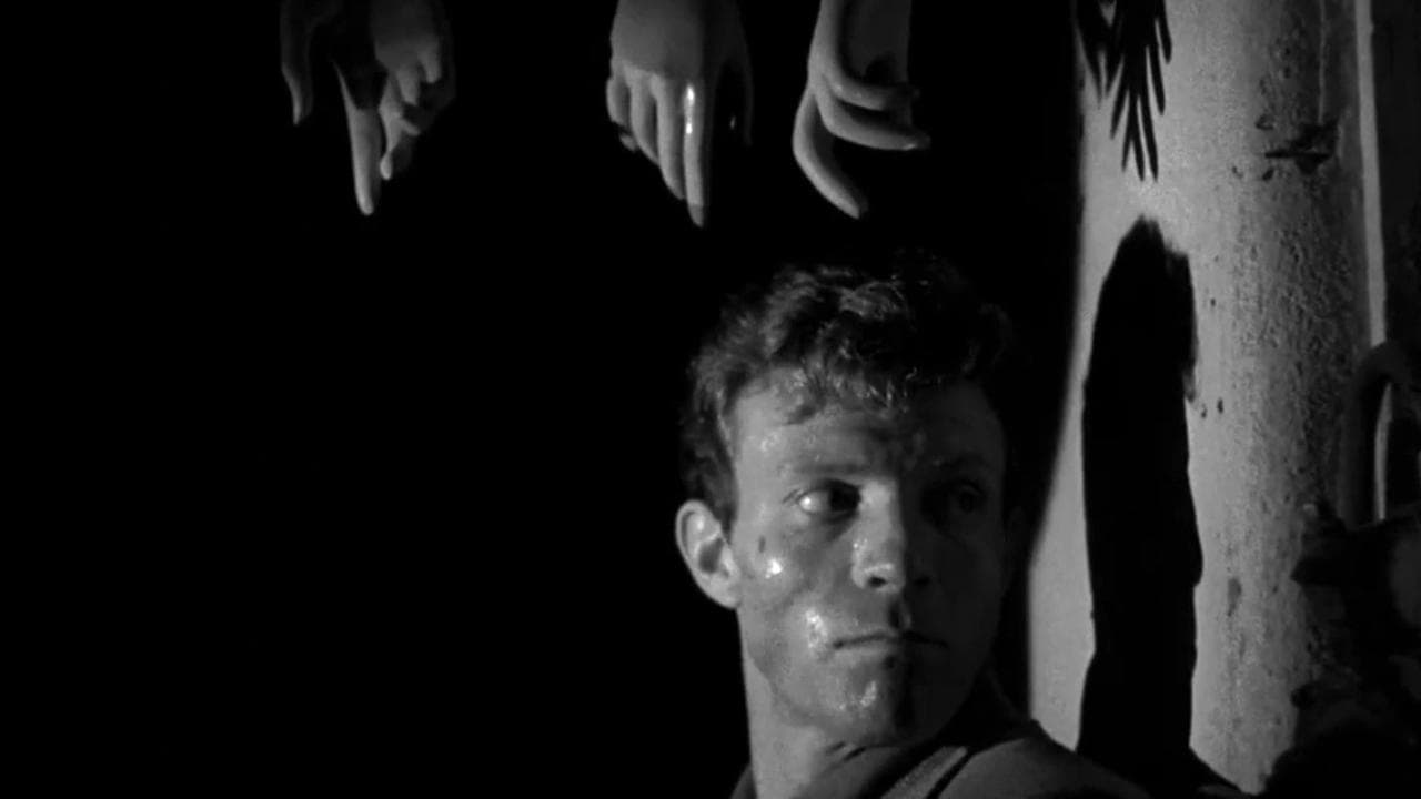 Backdrop – Der Tiger von New York