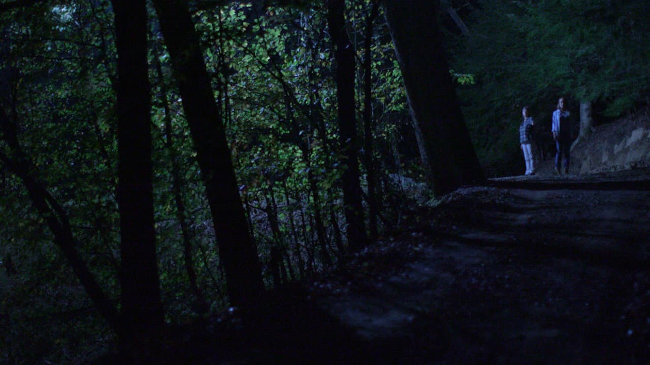 Backdrop – Below the Trees
