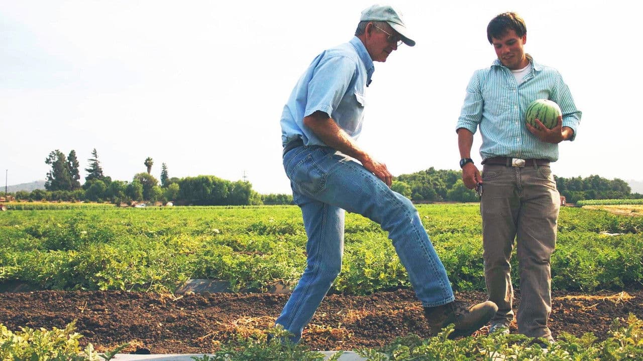 Backdrop – In Organic We Trust