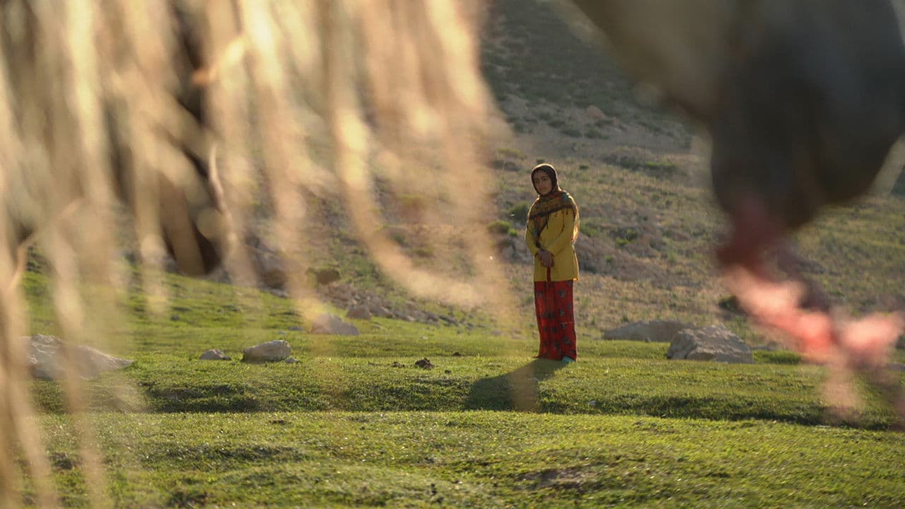 Backdrop – The Dream of a Horse