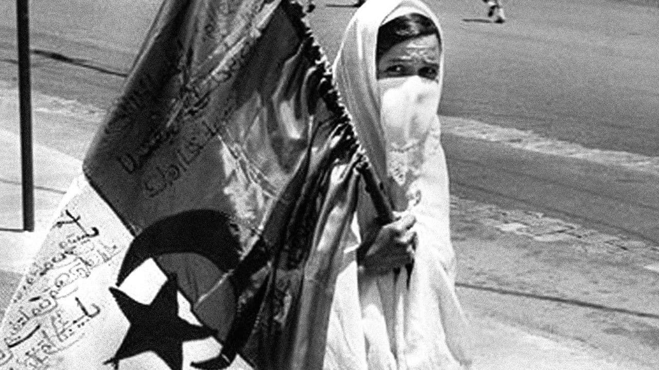 Backdrop – Moudjahidate