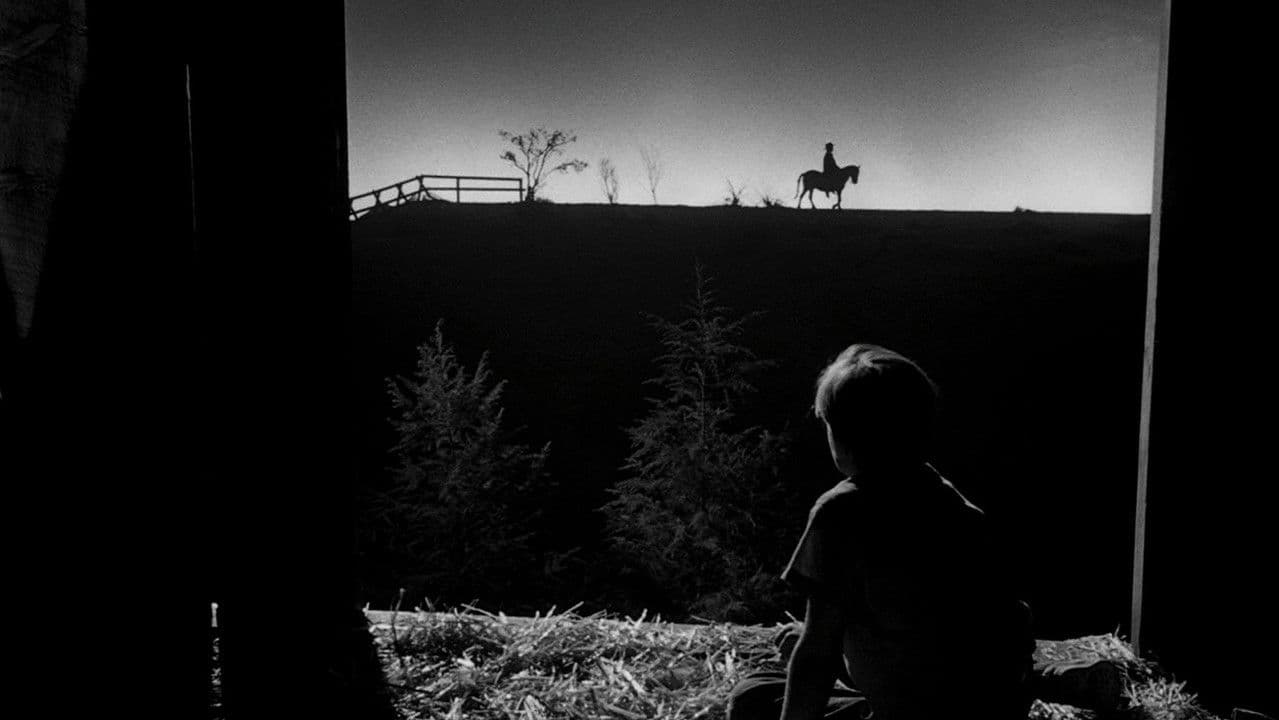 Backdrop – Die Nacht des Jägers