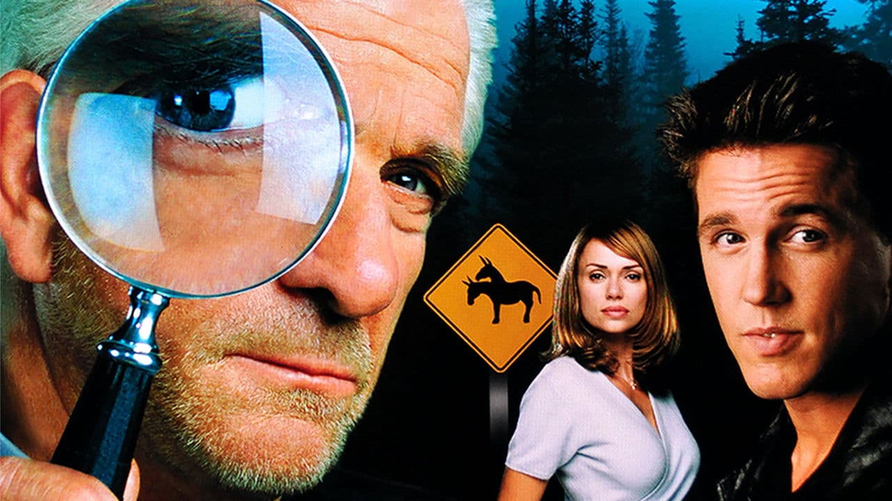 Backdrop – Camouflage - Alles nur Tarnung