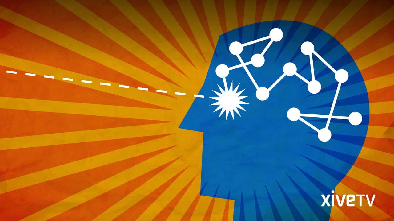 Backdrop – Automatic Brain