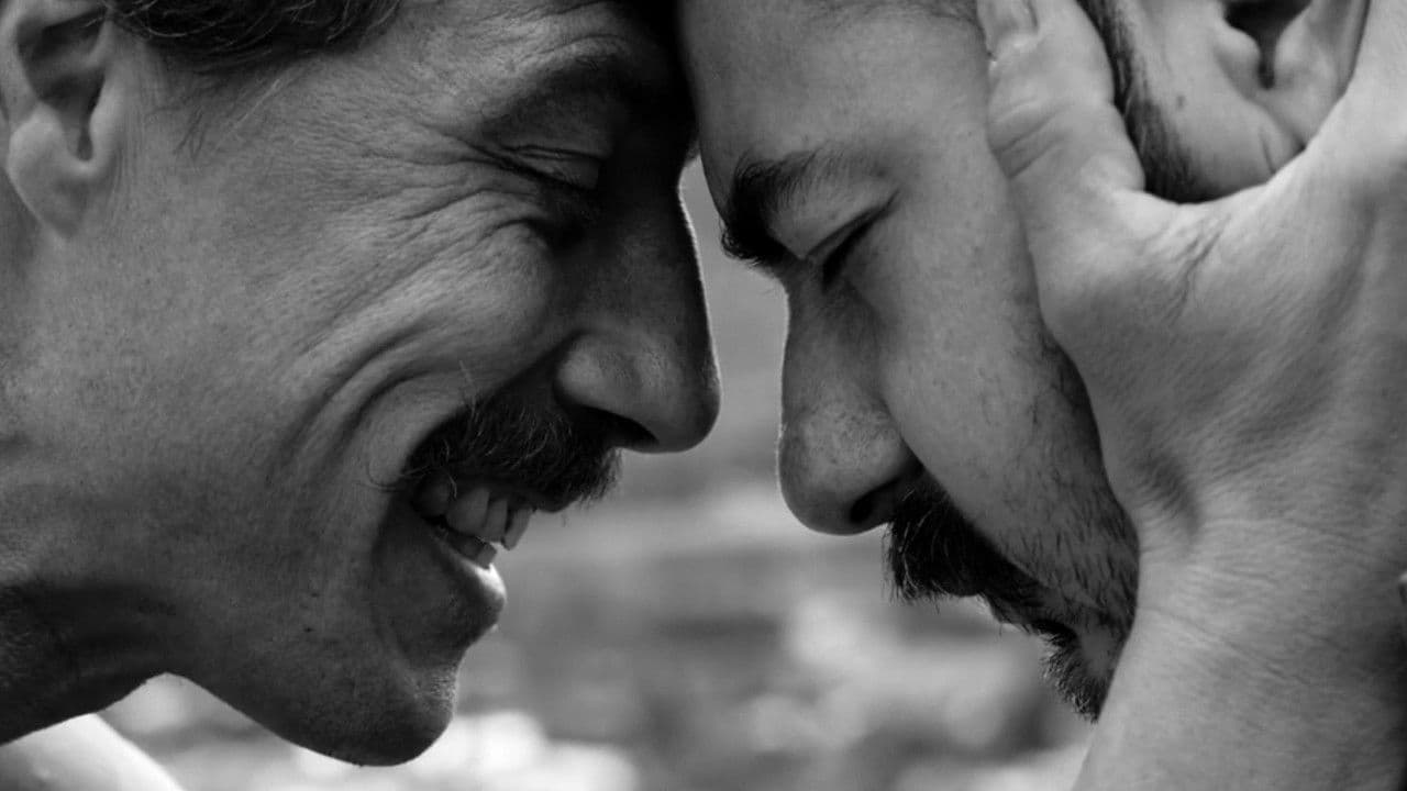 Backdrop – Circo de Loy