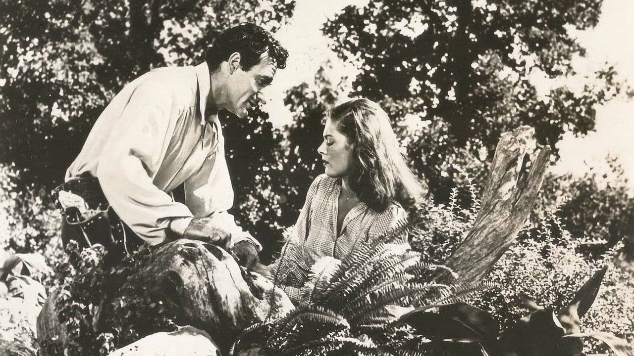 Backdrop – Beauty and the Bandit