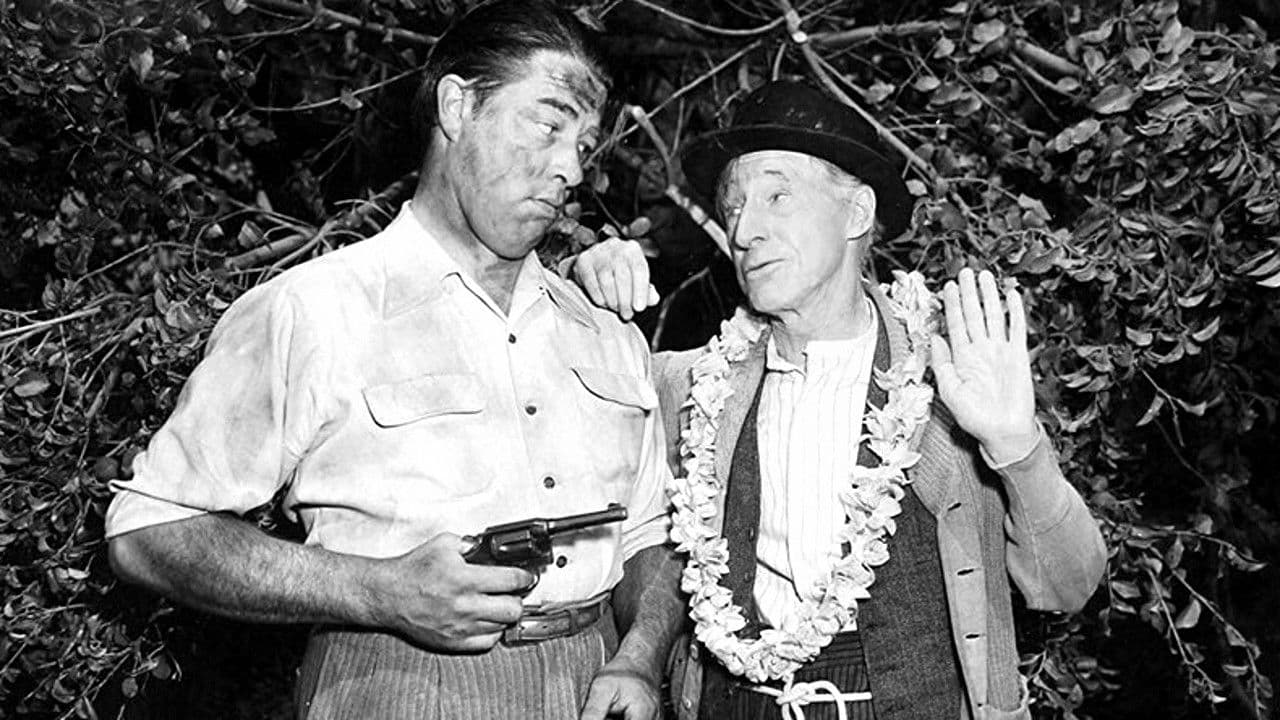 Backdrop – Ma and Pa Kettle at Waikiki