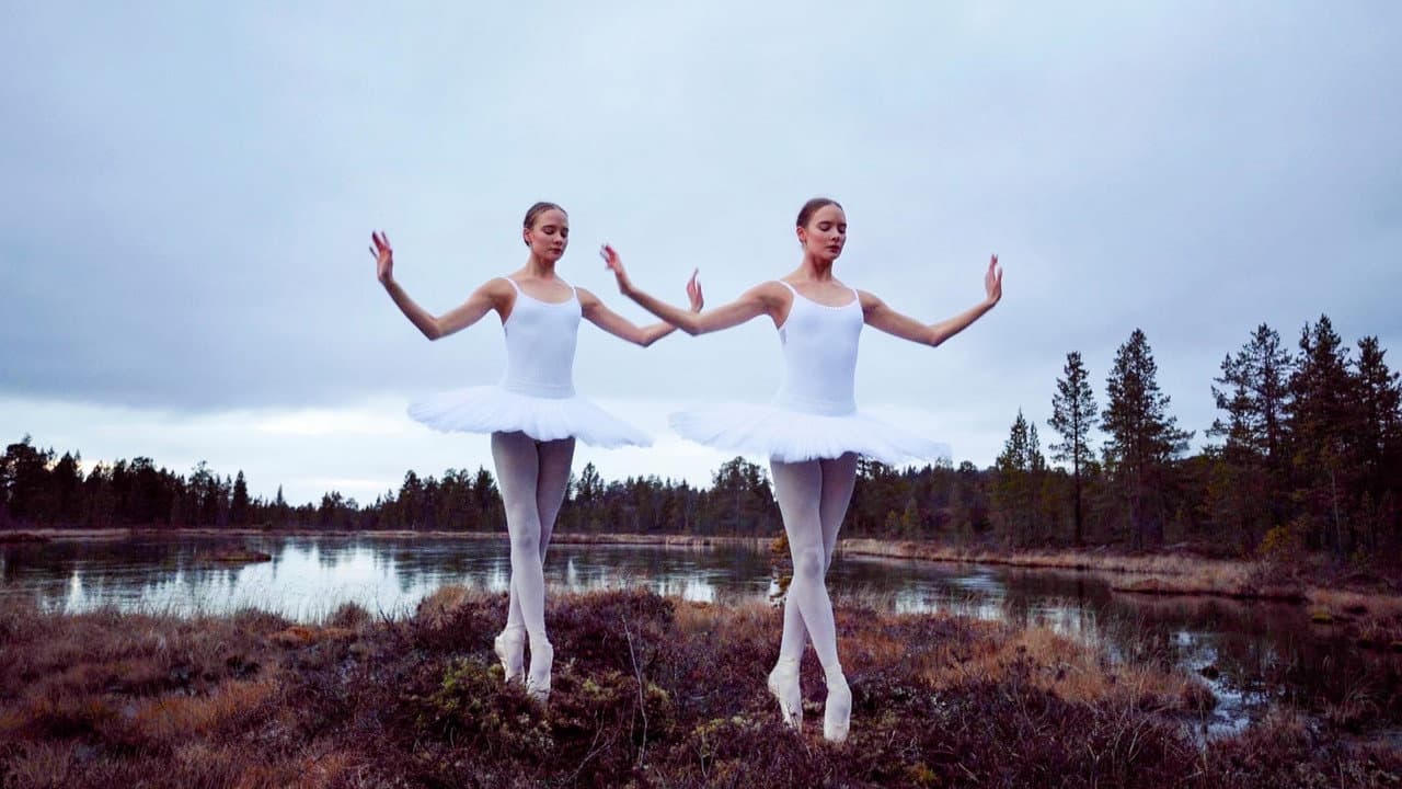 Backdrop – Birds in the Earth