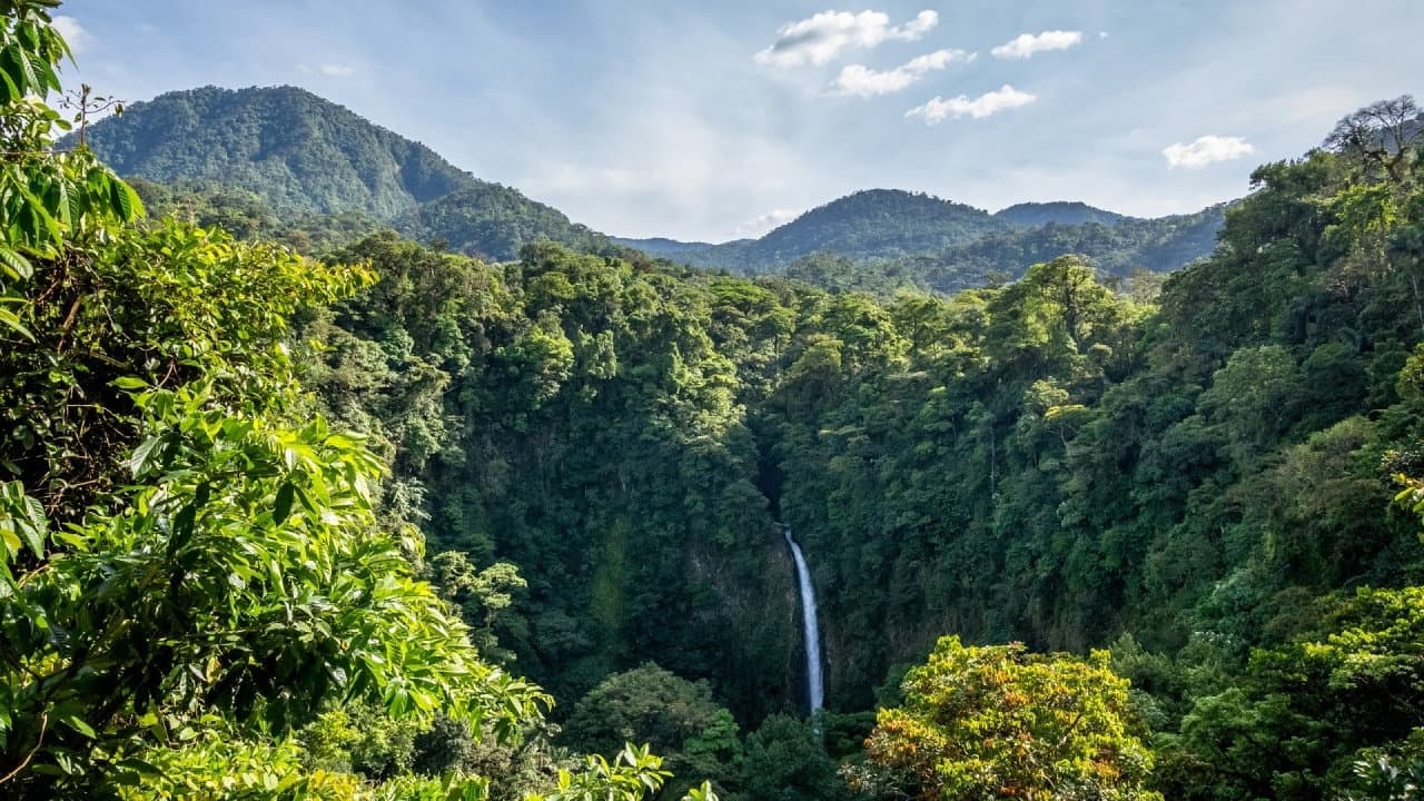 Backdrop – Living Landscapes: Costa Rica