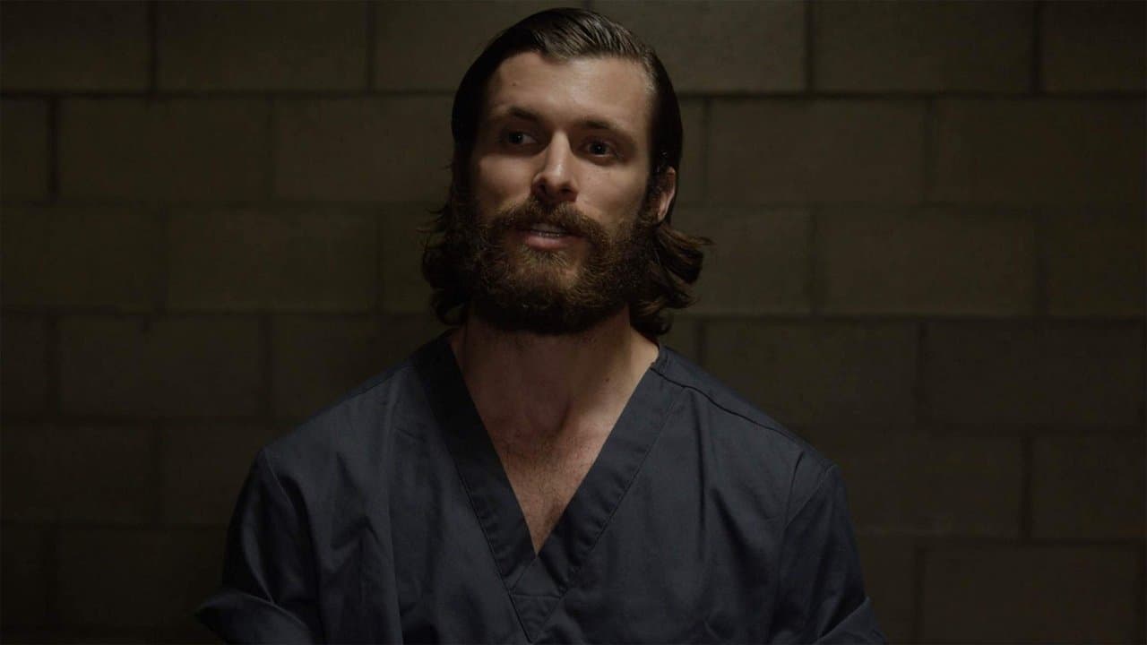 Backdrop – Chameleon