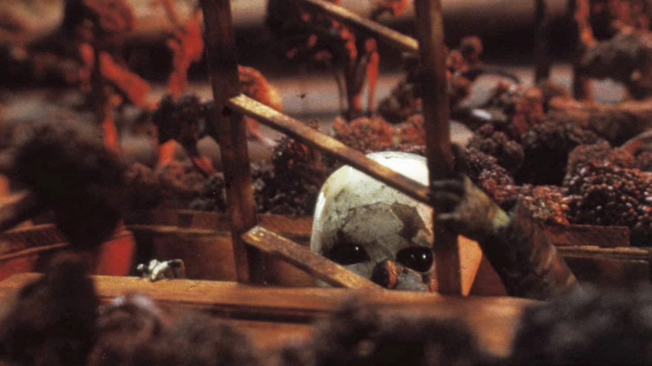 Backdrop – The Comb