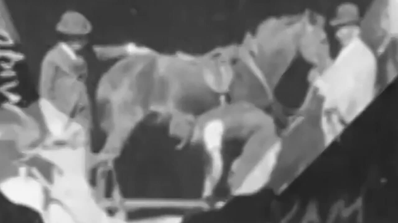 Backdrop – Horse Shoeing