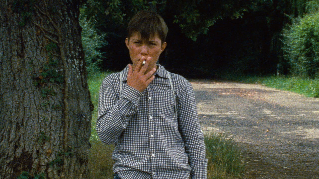 Backdrop – Astrakan