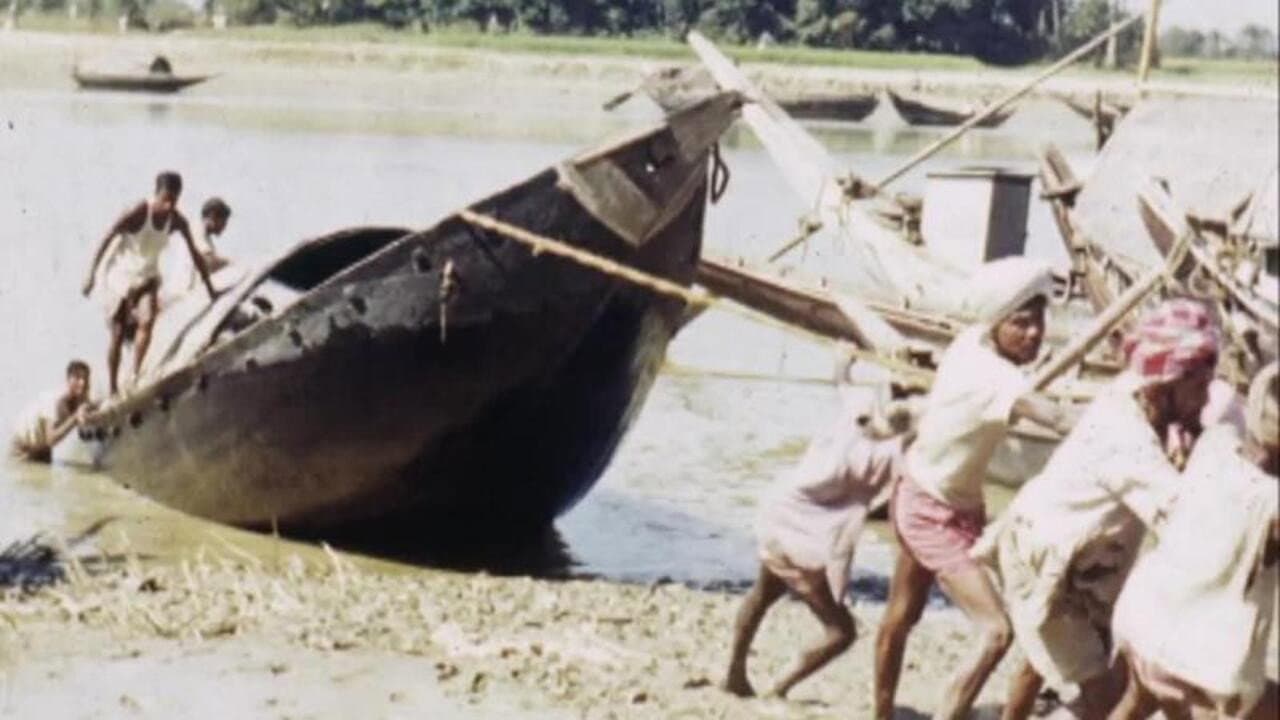 Backdrop – Boat Repairs - Sunderbans