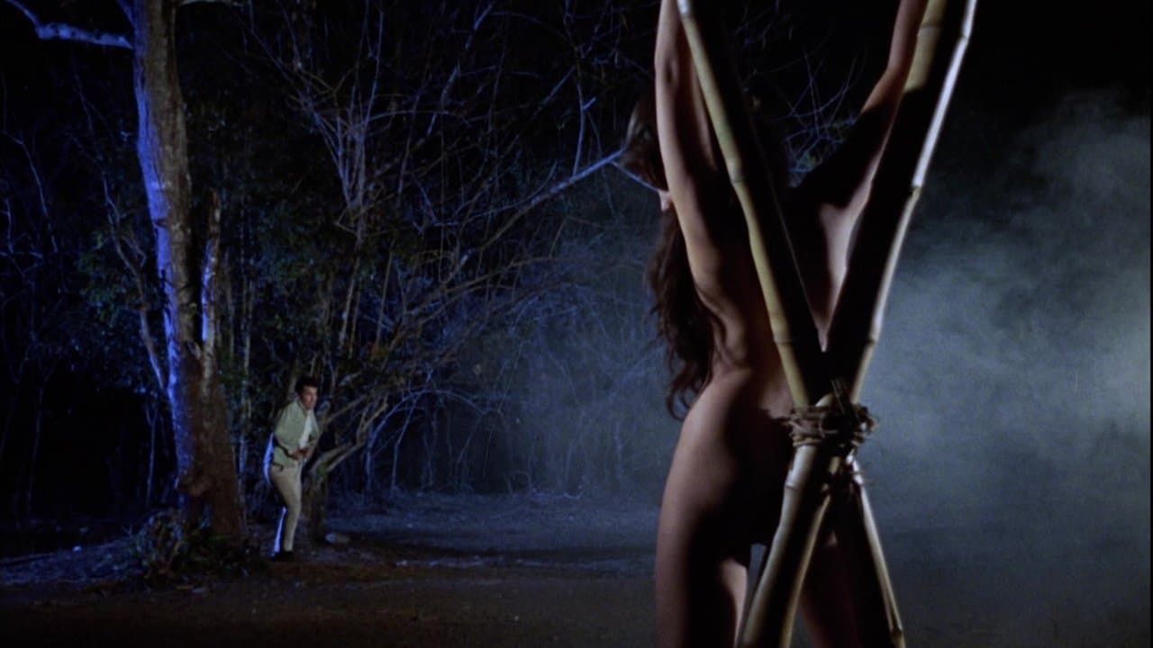 Backdrop – Brides of Blood