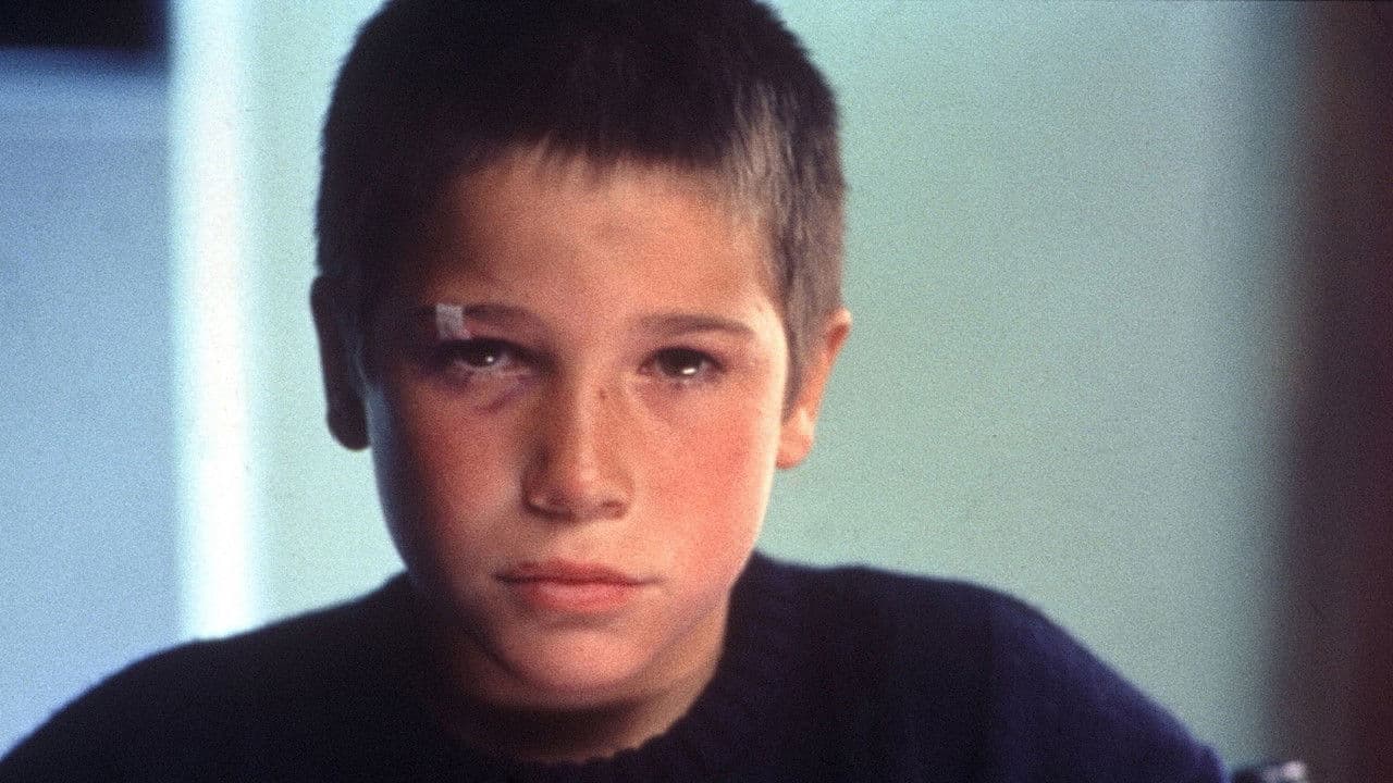 Backdrop – El Bola