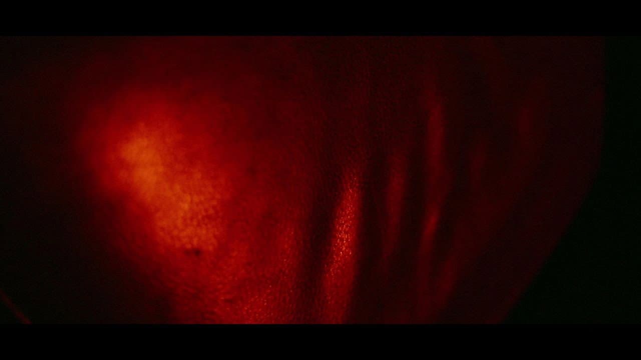 Backdrop – Flesh, Board, and Nails