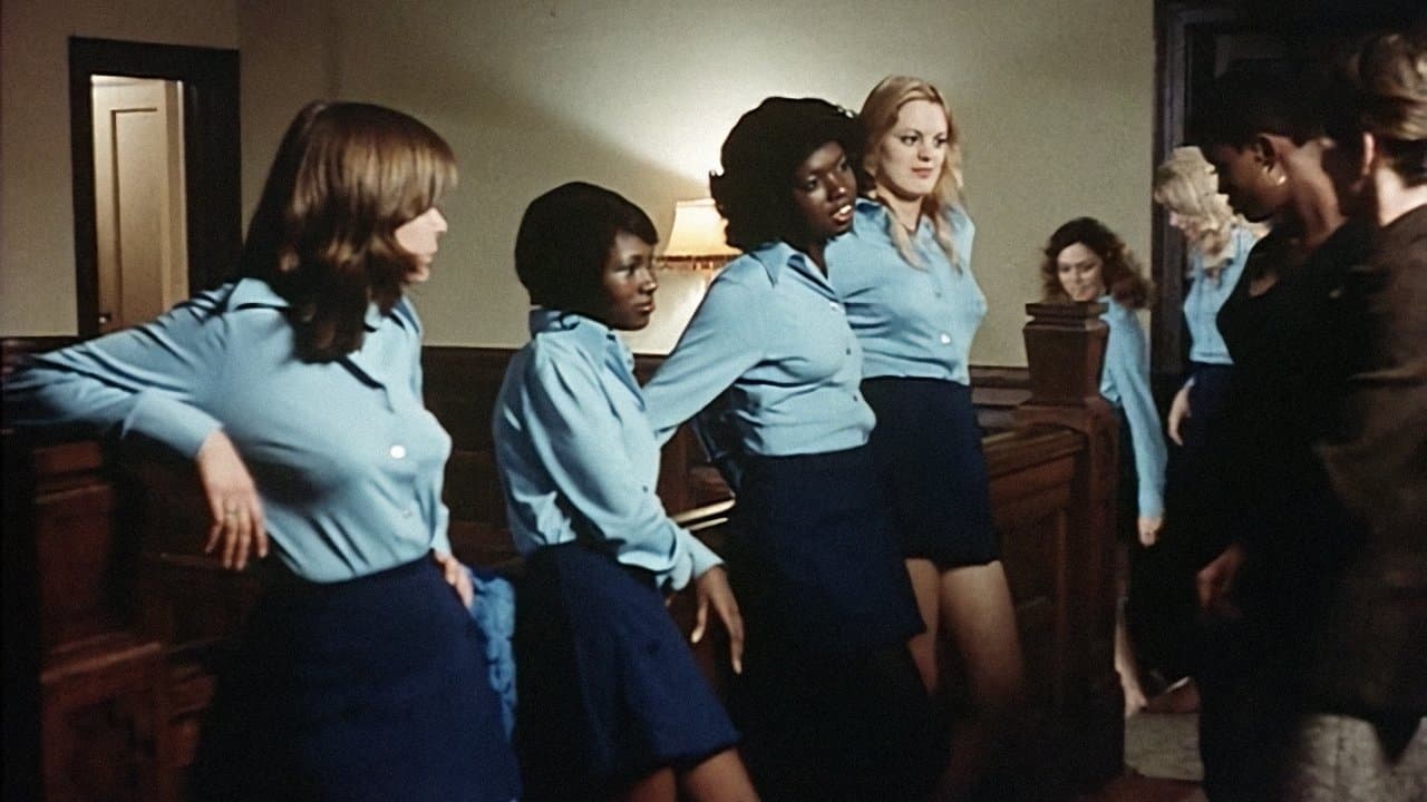 Backdrop – Black Cats - Schwarze Katzen, heiße Lust