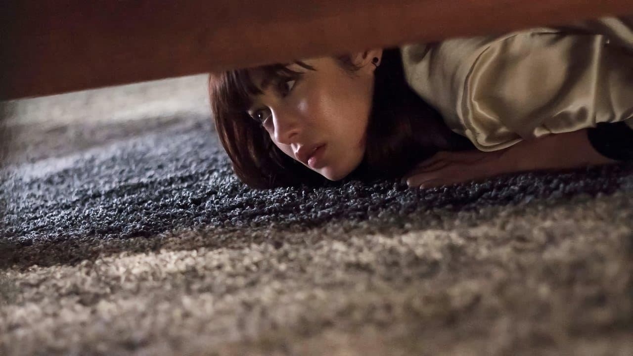 Backdrop – Momentum