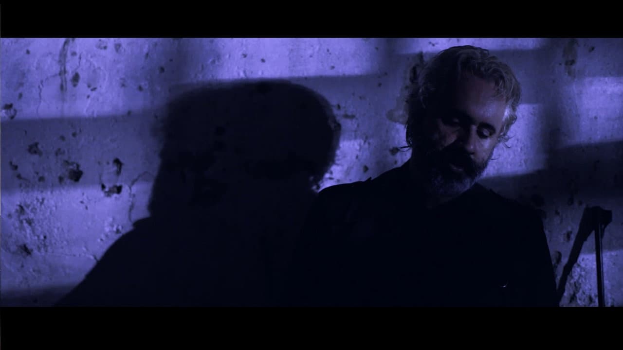 Backdrop – Miçanga Negra