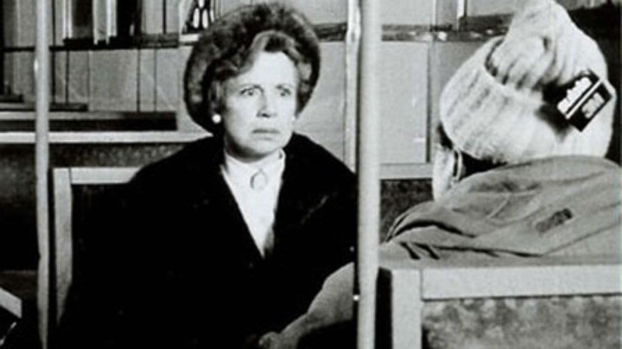 Backdrop – The Lunch Date