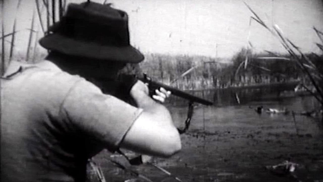 Backdrop – Let nad močvarom