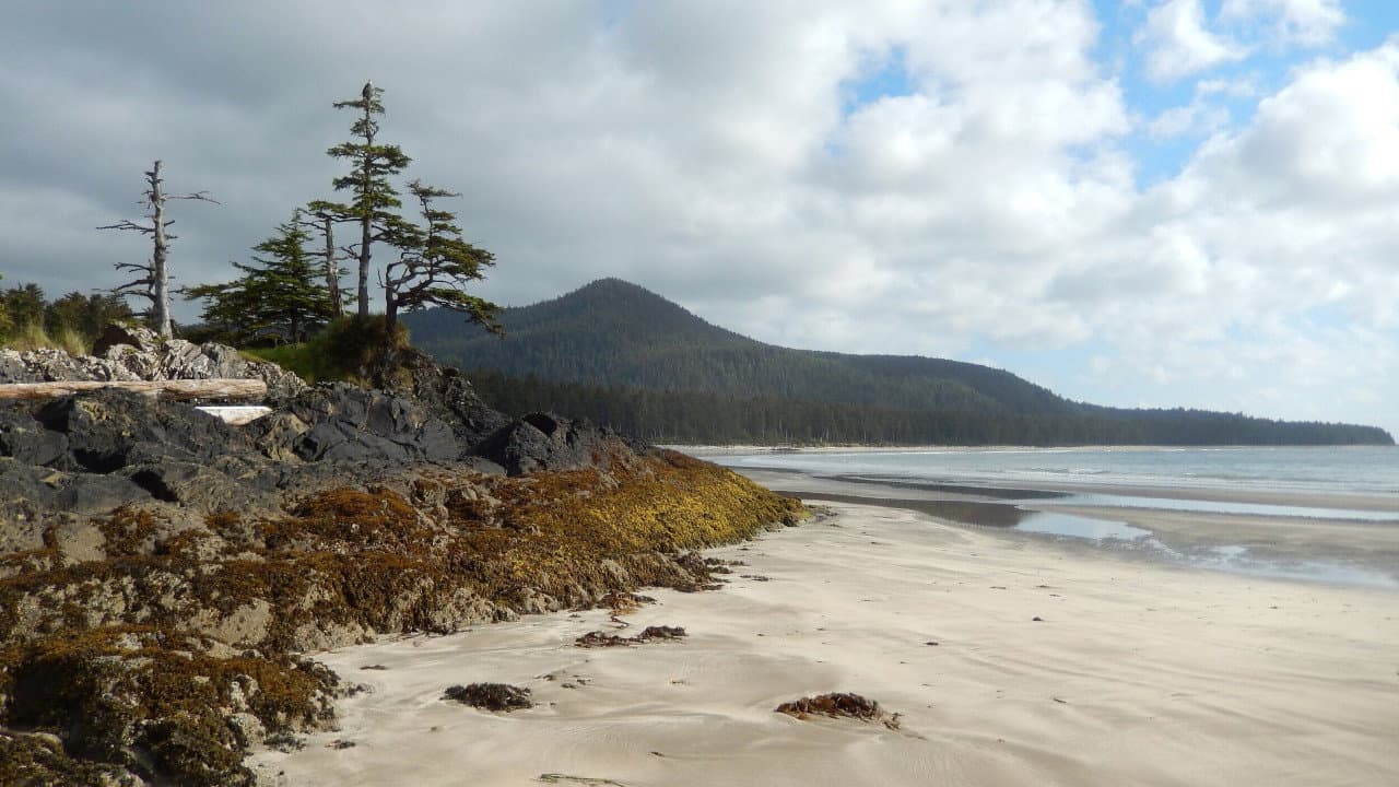 Backdrop – Haida Gwaii: On the Edge of the World